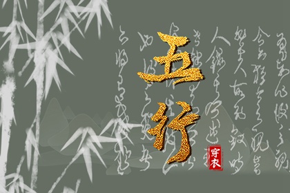 流年命盘排盘 命盘 专业细盘命盘 紫微星黄历