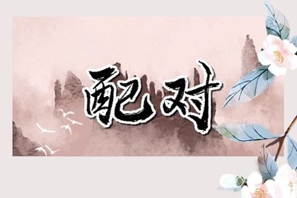 星宿一栏怎么看